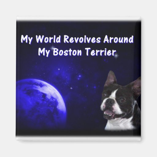 Boston Terrier:  My World Fridge Magnet