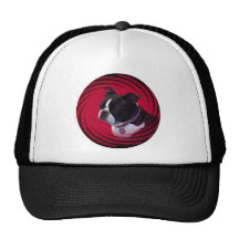 Boston Terrier:  Swirl Hats
