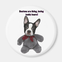 Boston Terrier:  Teddy Bears Magnets
