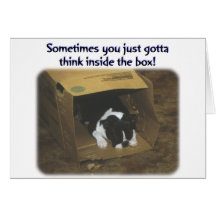Boston Terrier:  Think Inside the Box Greeting Card