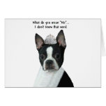 Boston Terrier:  What Do You Mean "No"? Card