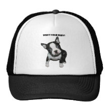 Boston Terrier:  Who's Your Baby? Mesh Hats
