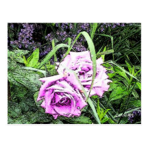 " Botanical" Pink Roses Post Card