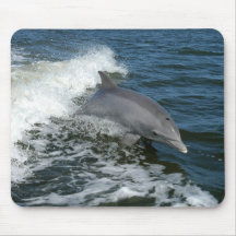 Bottlenose Dolphin Mouse Pads