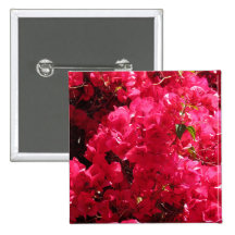 Bougainvillea Pins