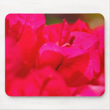 Bougainvilleas Mousepad