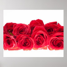 Bouquet of Bright Pink Roses Print