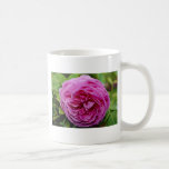 Bourbon Rose 'Louise Odier' White flowers Mugs