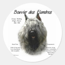 Bouvier des Flandres History Design Round Stickers
