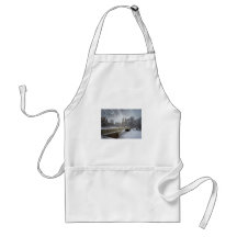 Bow Bridge in Winter, Central Park, New York City Apron