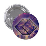 box of rain buttons