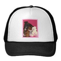Boxer and Chihuahua hat