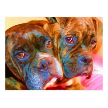 Boxer Art postcard