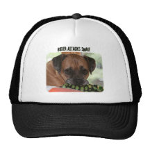 Boxer:  Boxer Attacks Snake Mesh Hats
