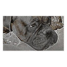 Boxer business cards