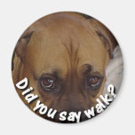 Boxer: Did you say walk? Fridge Magnet