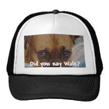 Boxer: Did you say walk? Mesh Hats