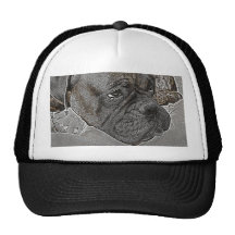 Boxer Dog Hats