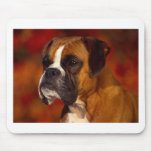 Boxer dog mousemat