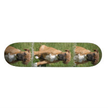 Boxer Dog Skateboard