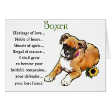 Boxer Gifts Card