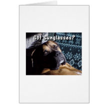 Boxer:  Got Sunglasses? Greeting Cards