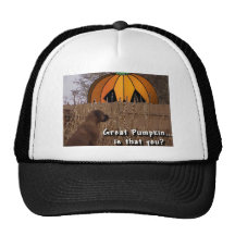 Boxer:  Great Pumpkin Hats