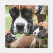 Boxer - Helicopter Mum Refrigerator Magnets