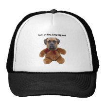 Boxer: Living, Loving Teddy Bears Mesh Hat