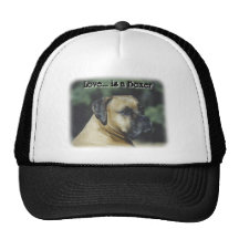 Boxer:  Love is a Boxer Hats