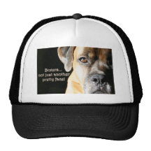 Boxer:  Not Just Another Pretty Face Mesh Hats