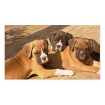 Boxer Puppies business cards