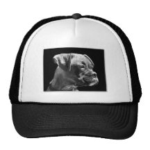 Boxer puppy hat