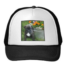 Boxer puppy trucker hat