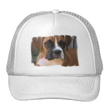 Boxer Rescue Baseball Hat