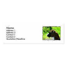 Boxer skinny Business Cards