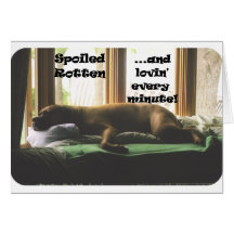 Boxer:  Spoiled Rotten Greeting Cards