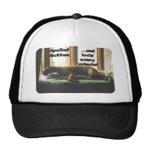 Boxer:  Spoiled Rotten Trucker Hat