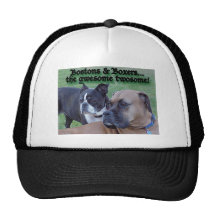 Boxers and Bostons Hat