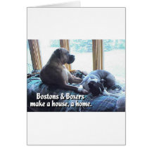 Boxers and Bostons Make a House a Home Greeting Cards