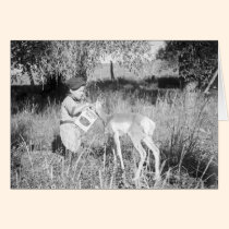 Boy feeding antelope cards