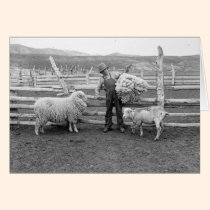 Boy holding up a bundle of wool cards