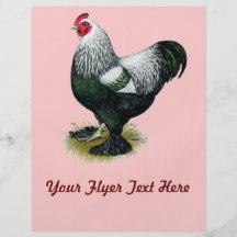 Brahma:  Dark Rooster Flyers