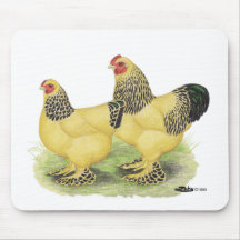 Brahmas:  Buff Bantams Mouse Pad