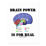 Brain Power Is For Real (Brain Anatomy Attitude) Postcard