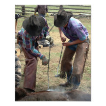 Branding Calves 11x14 Photo Art