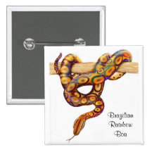 Brazilian Rainbow Boa Pin