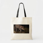 Brazilian Tapir, young calf beside river Bags