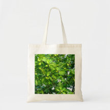 Breadfruit Tree Bags