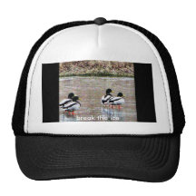 break the ice mesh hat